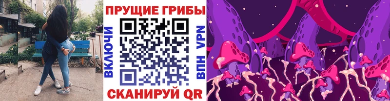 Псилоцибиновые грибы Psilocybe  что такое наркотик  Саки 
