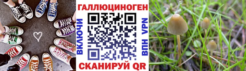 Галлюциногенные грибы мухоморы Саки